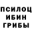 Псилоцибиновые грибы мицелий MyUniverse