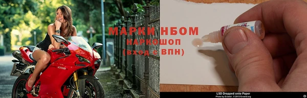 гашик Карпинск