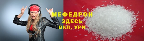 стаф Касимов
