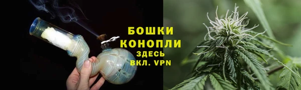 гашик Карпинск