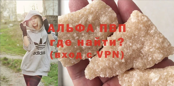 гашик Карпинск
