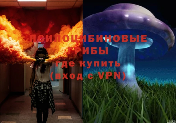 стаф Касимов